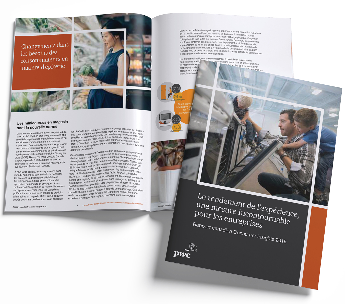 Consumer Insights PDF report — bilingual, AODA compliant