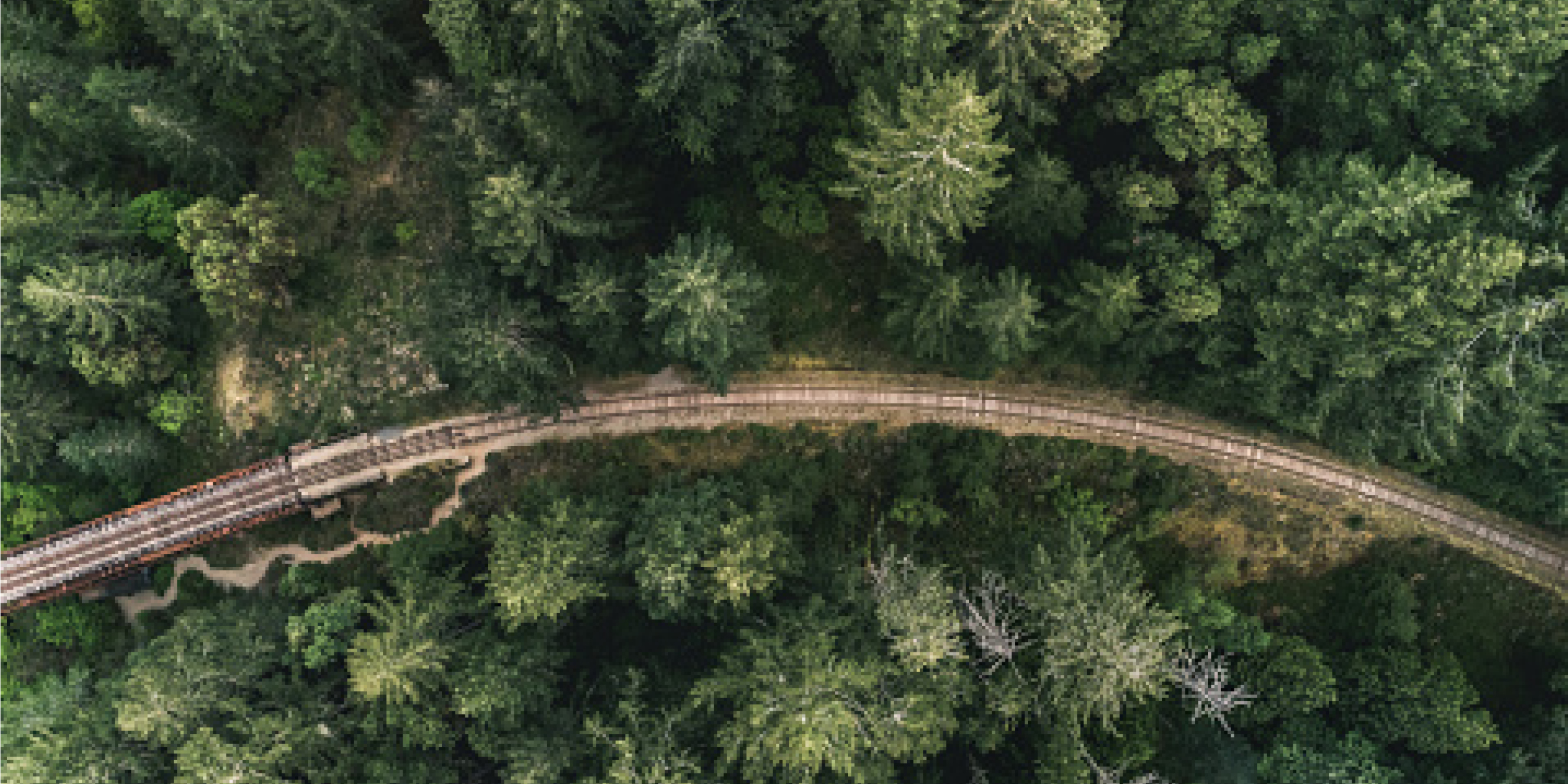 Local geography and landscape photography used in office spaces
